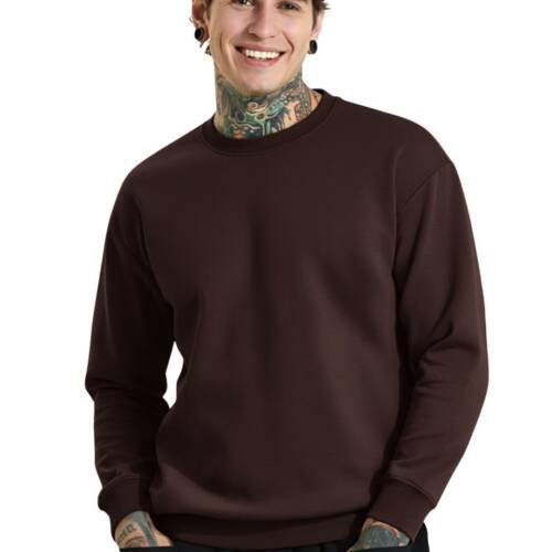 Regular Fit Stylish Loopknit Sweatshirt for Men's (W11_Brown_P_Brown_S)